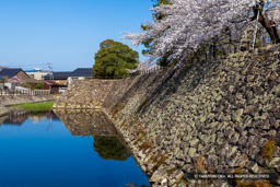 本丸南側石垣と水堀 | 高解像度画像サイズ：8192 x 5464 pixels | 写真番号：6F1A4930 | 撮影：Canon EOS R5m2