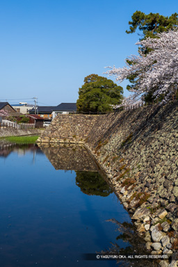 本丸南側石垣と水堀 | 高解像度画像サイズ：5464 x 8192 pixels | 写真番号：6F1A4931 | 撮影：Canon EOS R5m2