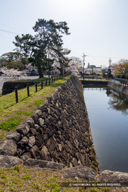 本丸東側石垣 | 高解像度画像サイズ：5464 x 8192 pixels | 写真番号：6F1A4935 | 撮影：Canon EOS R5m2