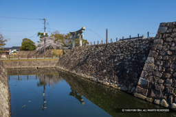 復元された本丸東側の石垣 | 高解像度画像サイズ：8192 x 5464 pixels | 写真番号：6F1A4937 | 撮影：Canon EOS R5m2