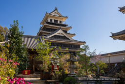 中津城天守閣（奥平家資料館） | 高解像度画像サイズ：8192 x 5464 pixels | 写真番号：6F1A4950 | 撮影：Canon EOS R5m2
