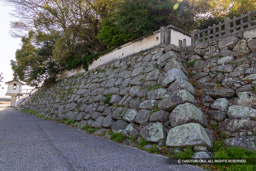  | 高解像度画像サイズ：8192 x 5464 pixels | 写真番号：6F1A4966 | 撮影：Canon EOS R5m2