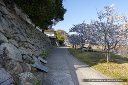  | 高解像度画像サイズ：8192 x 5464 pixels | 写真番号：6F1A4969 | 撮影：Canon EOS R5m2
