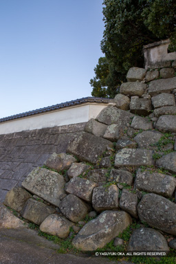 本丸西側石垣 | 高解像度画像サイズ：3648 x 5472 pixels | 写真番号：IMG_2277 | 撮影：Canon EOS 6D