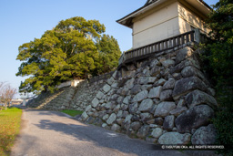 本丸西側石垣 | 高解像度画像サイズ：5472 x 3648 pixels | 写真番号：IMG_2278 | 撮影：Canon EOS 6D