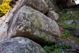  | 高解像度画像サイズ：5472 x 3648 pixels | 写真番号：IMG_2283 | 撮影：Canon EOS 6D
