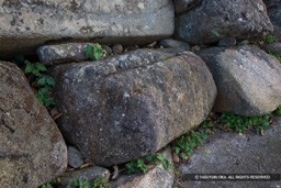  | 高解像度画像サイズ：5472 x 3648 pixels | 写真番号：IMG_2285 | 撮影：Canon EOS 6D