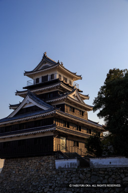 中津城天守閣 | 高解像度画像サイズ：3648 x 5472 pixels | 写真番号：IMG_2286 | 撮影：Canon EOS 6D