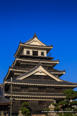 中津城天守閣（奥平家資料館） | 高解像度画像サイズ：3648 x 5472 pixels | 写真番号：IMG_2299 | 撮影：Canon EOS 6D