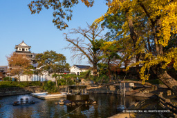 三斎池 | 高解像度画像サイズ：5305 x 3536 pixels | 写真番号：IMG_2325 | 撮影：Canon EOS 6D