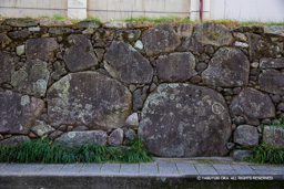 大手門石垣(南部小学校) | 高解像度画像サイズ:5472 x 3648 pixels | 写真番号:IMG_2352 | 撮影:Canon EOS 6D