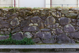 大手門石垣(南部小学校) | 高解像度画像サイズ:5377 x 3584 pixels | 写真番号:IMG_2353 | 撮影:Canon EOS 6D