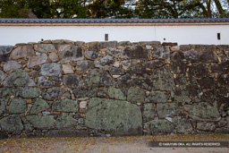 | 高解像度画像サイズ：5472 x 3648 pixels | 写真番号：IMG_2361 | 撮影：Canon EOS 6D