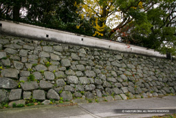高瀬川（現中津川）に面する本丸石垣 | 高解像度画像サイズ：4868 x 3245 pixels | 写真番号：VJ7Z9692 | 撮影：Canon EOS-1Ds Mark II