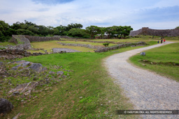  | 高解像度画像サイズ：8688 x 5792 pixels | 写真番号：5DSA7264 | 撮影：Canon EOS 5DS