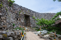 平朗門 | 高解像度画像サイズ：8688 x 5792 pixels | 写真番号：5DSA7322 | 撮影：Canon EOS 5DS