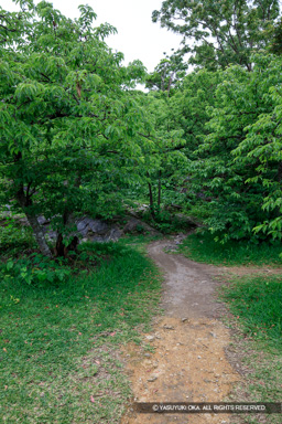 旧道 | 高解像度画像サイズ：5792 x 8688 pixels | 写真番号：5DSA7331 | 撮影：Canon EOS 5DS
