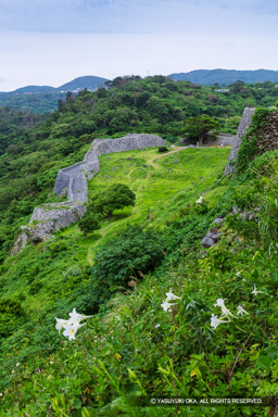 志慶真門郭 | 高解像度画像サイズ：5792 x 8688 pixels | 写真番号：5DSA7387 | 撮影：Canon EOS 5DS