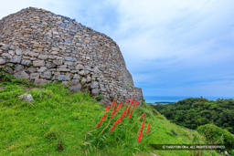 主郭石塁と海 | 高解像度画像サイズ：8682 x 5788 pixels | 写真番号：5DSA7398 | 撮影：Canon EOS 5DS
