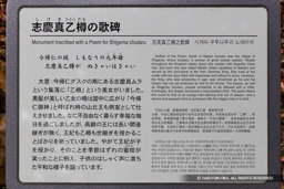 志慶真乙樽の歌碑歴史解説板 | 高解像度画像サイズ：6812 x 4541 pixels | 写真番号：5DSA7432 | 撮影：Canon EOS 5DS