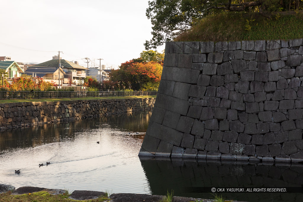 二条城二の丸水堀（北面・西面）