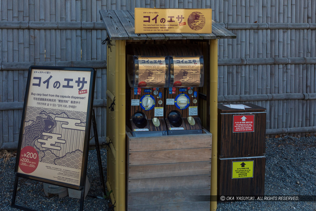 二条城本丸水堀のガチャの鯉の餌