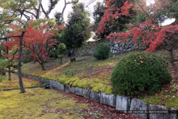 二の丸内側塁壁｜高解像度画像サイズ：8192 x 5464 pixels｜写真番号：344A7073｜撮影：Canon EOS R5