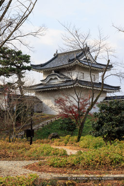 西南隅櫓城内側｜高解像度画像サイズ：5384 x 8072 pixels｜写真番号：344A7084｜撮影：Canon EOS R5