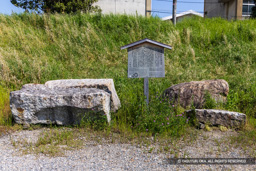 草津みなと二条城残念石（京都府京都市伏見区） | 高解像度画像サイズ：7333 x 4891 pixels | 写真番号：344A9899 | 撮影：Canon EOS R5