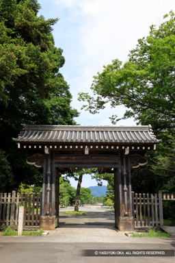 蛤御門 | 高解像度画像サイズ:4442 x 6663 pixels | 写真番号:5D4A0025 | 撮影:Canon EOS 5D Mark IV