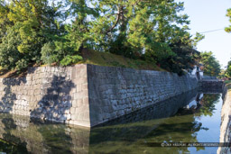 二条城二の丸水堀(北面)|高解像度画像サイズ:6720 x 4480 pixels|写真番号:5D4A3559|撮影:Canon EOS 5D Mark IV