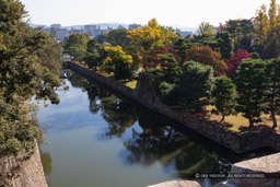 二条城天守台から南東を望む｜高解像度画像サイズ：6720 x 4480 pixels｜写真番号：5D4A3674｜撮影：Canon EOS 5D Mark IV