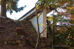 二条城西南隅櫓の続土塀|高解像度画像サイズ:6558 x 4372 pixels|写真番号:5D4A3719|撮影:Canon EOS 5D Mark IV