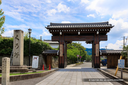金戒光明寺 | 高解像度画像サイズ:6720 x 4480 pixels | 写真番号:5D4A9950 | 撮影:Canon EOS 5D Mark IV