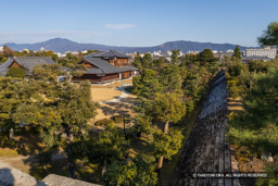 本丸風景・雁木 | 高解像度画像サイズ：6000 x 4000 pixels | 写真番号：IMG_0359 | 撮影：Canon EOS R10