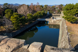 天守台から本丸西門虎口を望む | 高解像度画像サイズ：6000 x 4000 pixels | 写真番号：IMG_0363 | 撮影：Canon EOS R10