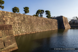 本丸西門虎口から天守台 | 高解像度画像サイズ：5700 x 3800 pixels | 写真番号：IMG_0370 | 撮影：Canon EOS R10