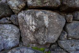 堀川の石垣刻印「□に◇？」 | 高解像度画像サイズ：6000 x 4000 pixels | 写真番号：IMG_0386 | 撮影：Canon EOS R10