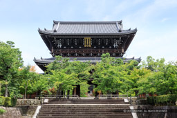 金戒光明寺｜高解像度画像サイズ：6720 x 4480 pixels｜写真番号：5D4A9940｜撮影：Canon EOS 5D Mark IV