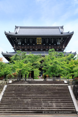 金戒光明寺｜高解像度画像サイズ：4480 x 6720 pixels｜写真番号：5D4A9941｜撮影：Canon EOS 5D Mark IV