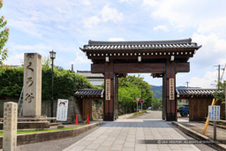 金戒光明寺｜高解像度画像サイズ：6720 x 4480 pixels｜写真番号：5D4A9950｜撮影：Canon EOS 5D Mark IV