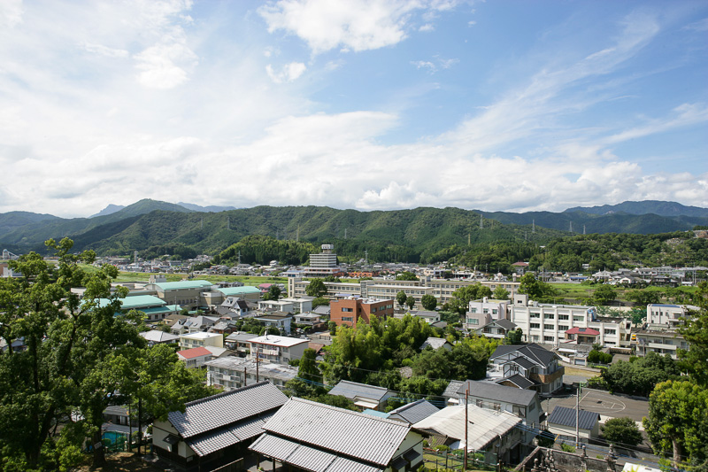 本丸から延岡市街を望む