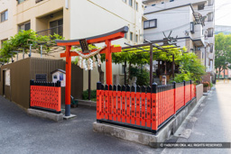 春日神社と藤 | 高解像度画像サイズ：8192 x 5464 pixels | 写真番号：6F1A1359 | 撮影：Canon EOS R5m2