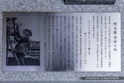野田の藤発祥之地の歴史解説 | 高解像度画像サイズ：6002 x 4003 pixels | 写真番号：6F1A1361 | 撮影：Canon EOS R5m2