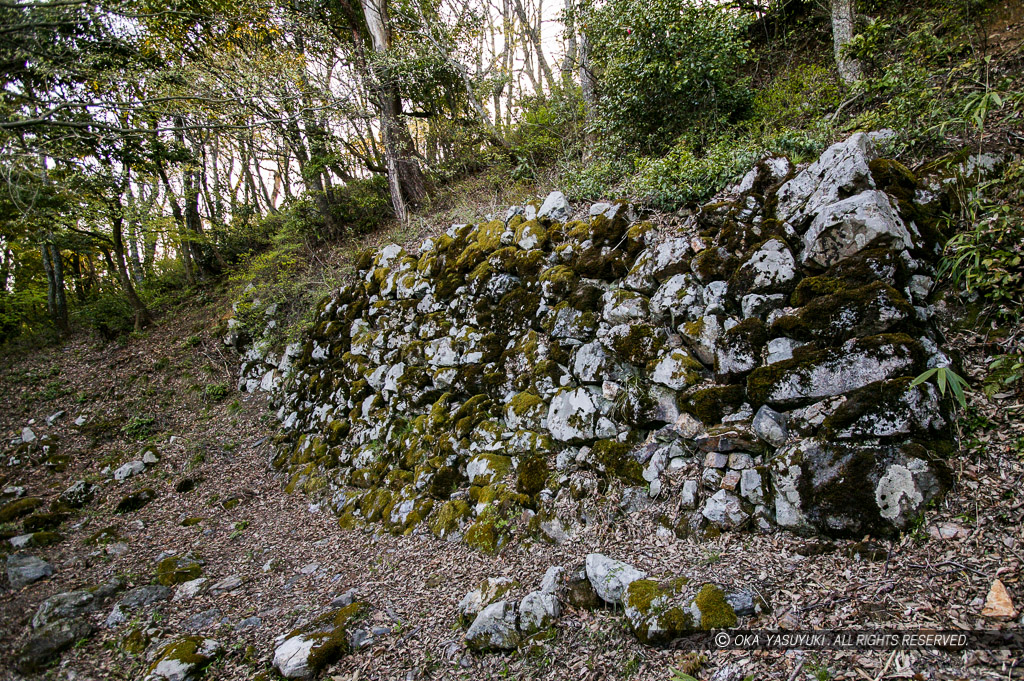 小谷城の山王丸石垣・大石垣