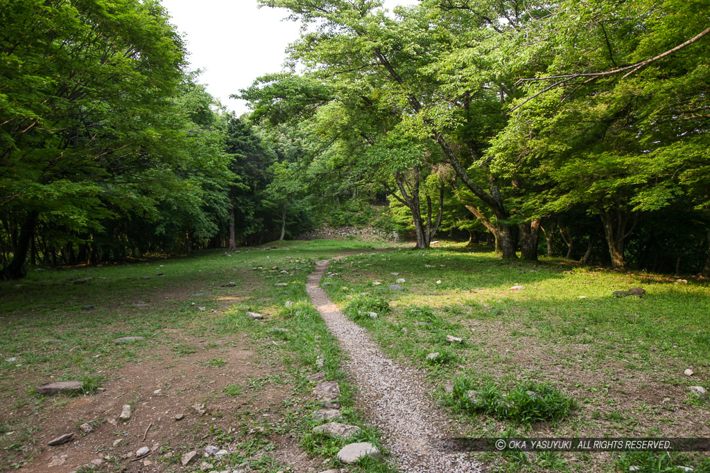 小谷城の千畳敷曲輪・大広間