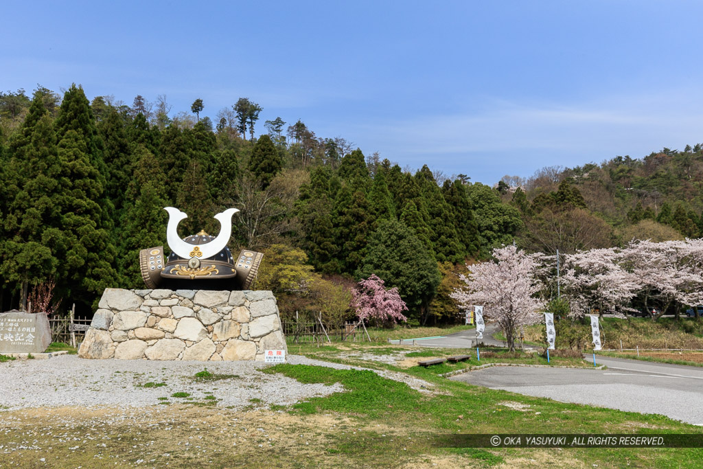 小谷城の桜