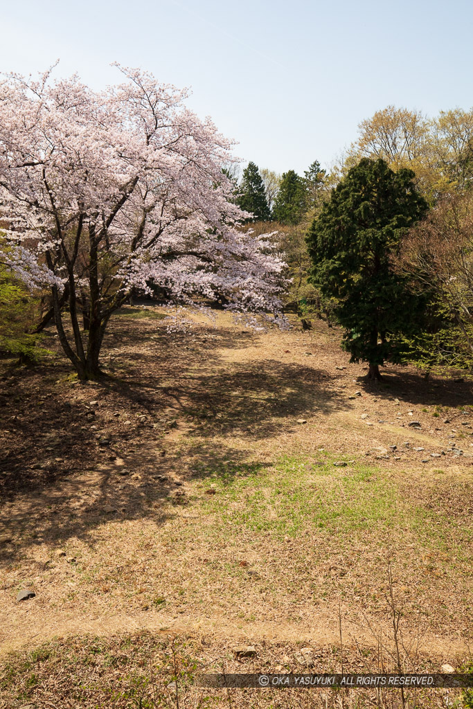 小谷城の本丸から大広間を望む