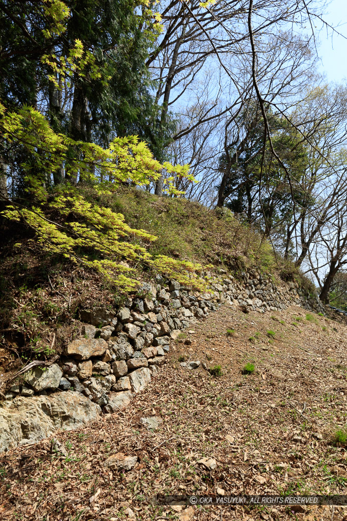 小谷城の本丸石垣