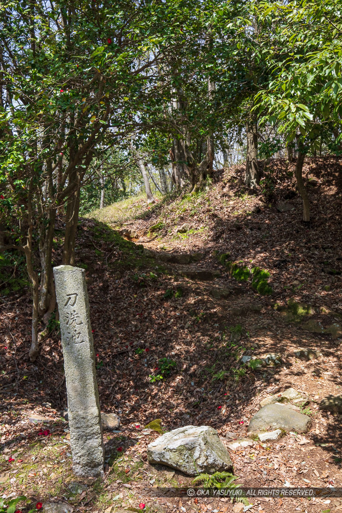 小谷城の刀洗池